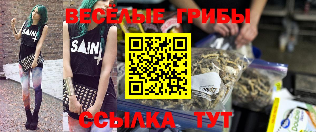 Галлюциногенные грибы Magic Shrooms Алексин