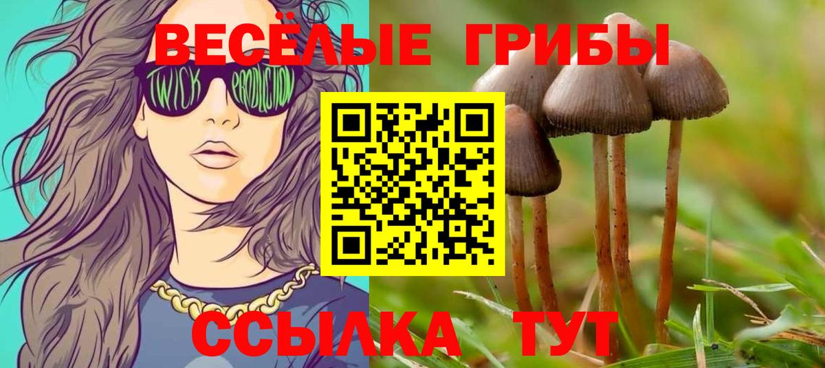 Алексин  Галлюциногенные грибы MAGIC MUSHROOMS  Вход с VPN 